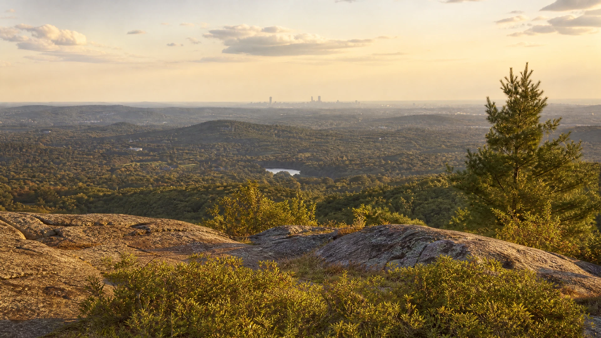 Homes for sale in Milton, MA
